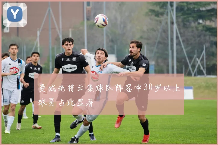 曼城老将云集球队阵容中30岁以上球员占比显著