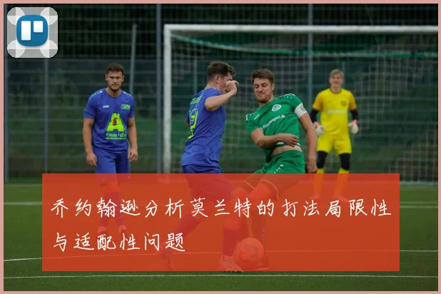 乔约翰逊分析莫兰特的打法局限性与适配性问题